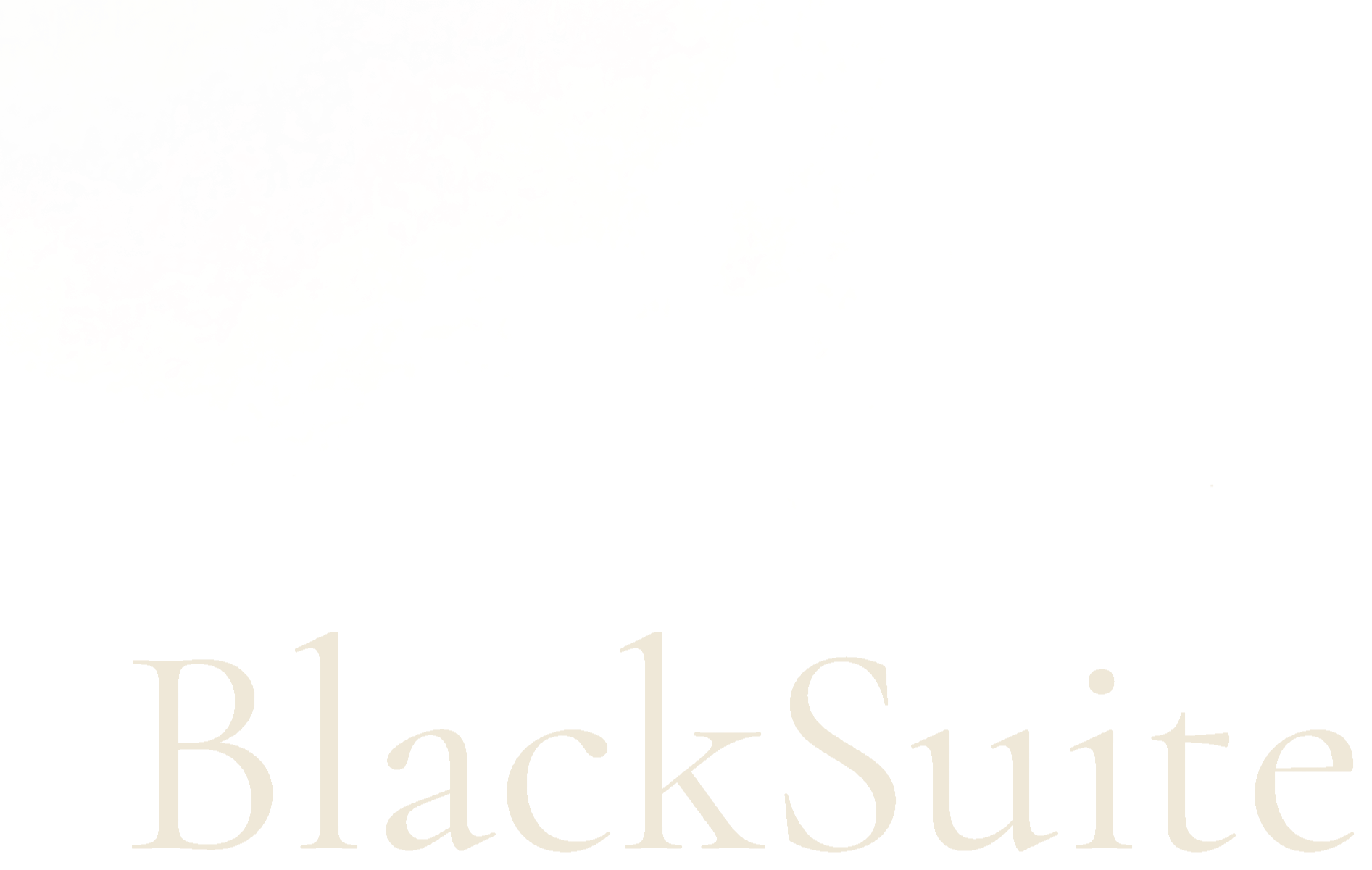 BlackSuite